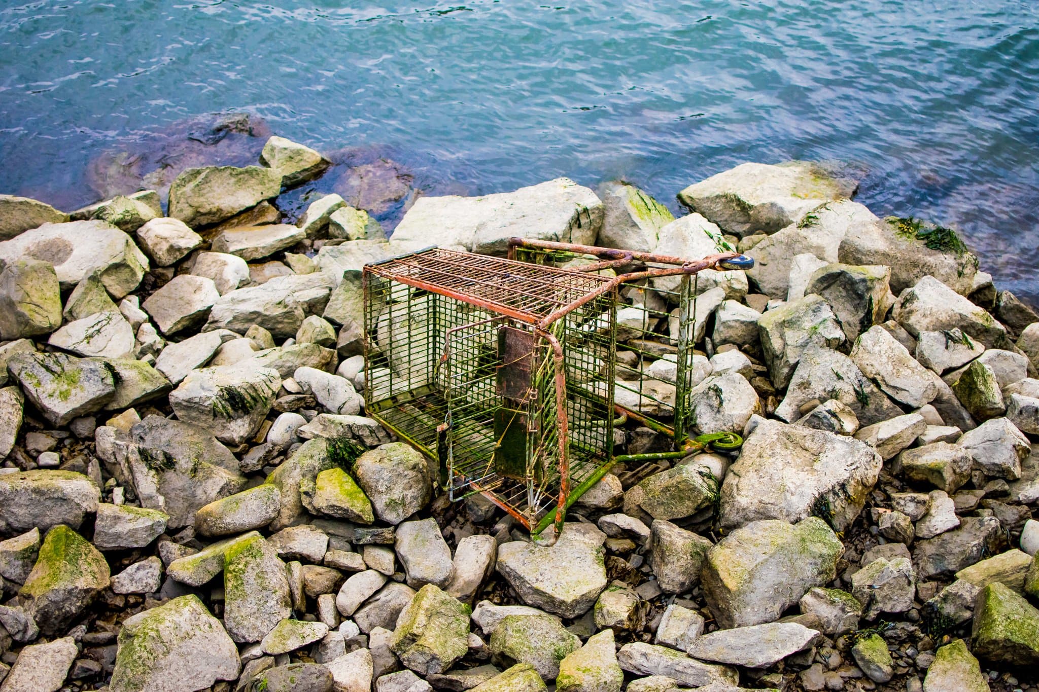 A rusted, moss-covered shopping cart abandoned on a rocky shoreline at the water's edge in Queens, NYC.